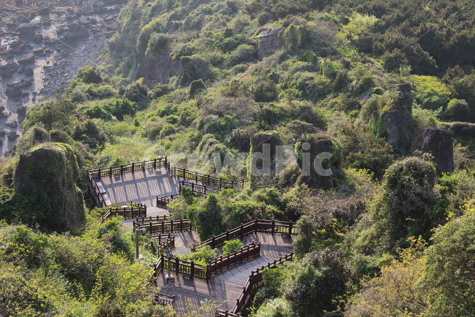 제주도,풍경,언덕,나무,풀,성산일출봉,하산