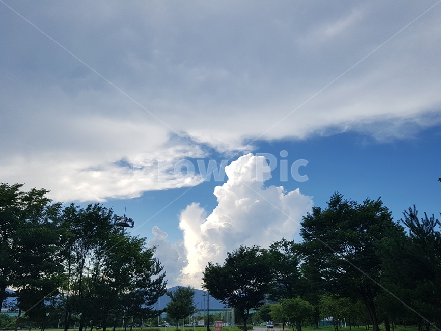 하늘,구름,뭉개구름,나무,자연,sky,휴식