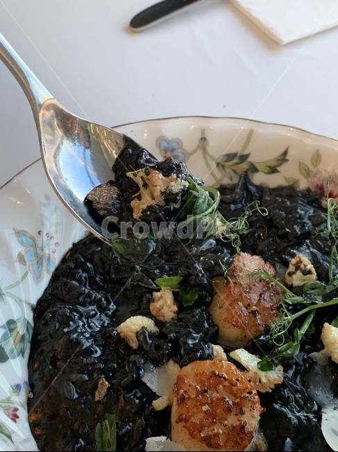 리조또,관자,브런치,음식,프랑스,트러플,food