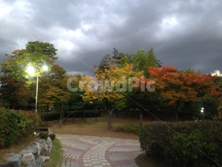 가을,폭풍,공원,나무,가을하늘,가을,계절,fall,autumn,season,자연,풍경,nature,landscape,flagstone,판석,path,통로,walkway,보도