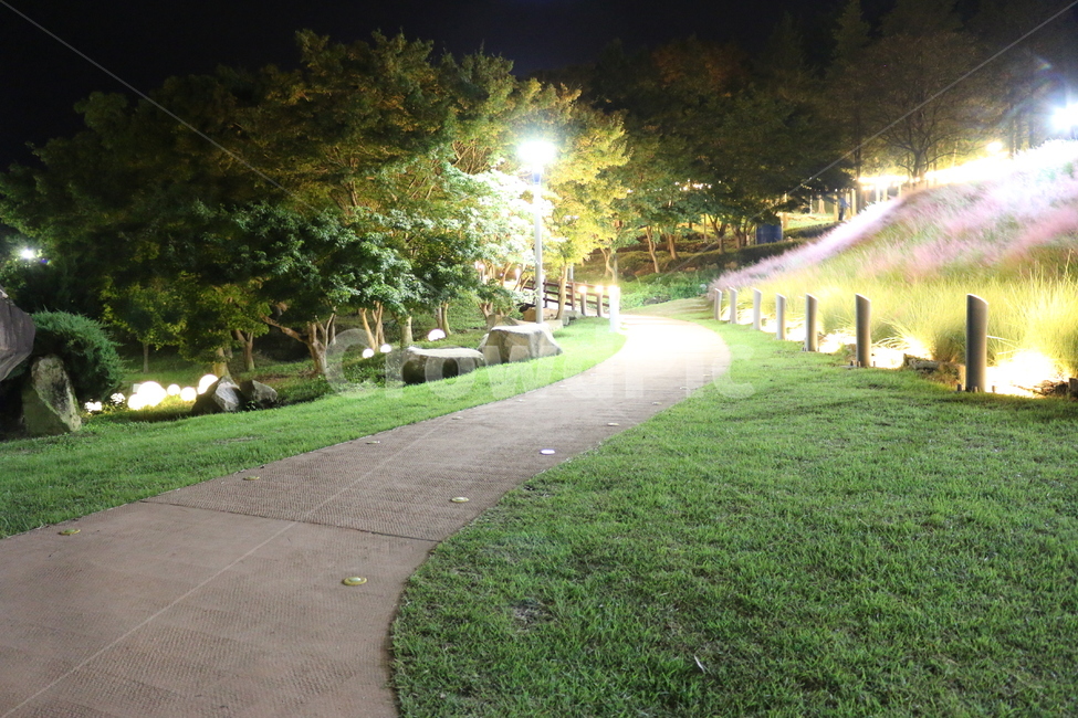 핑크뮬리,정읍사,정원,산책길,plant,식물,grass,잔디,자연,풍경,nature,landscape