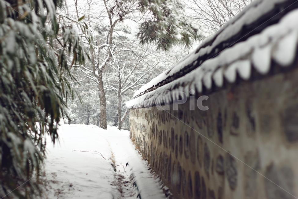 한옥,한옥마을,담벼락,흰눈,snow,겨울,풍경,landscape,landmark,traditional,함박눈,겨울,계절,winter,season,한국전통,한국문화,korean traditional,korean culture,건축물,건물외관,exterior,building,structure,architecture,construction