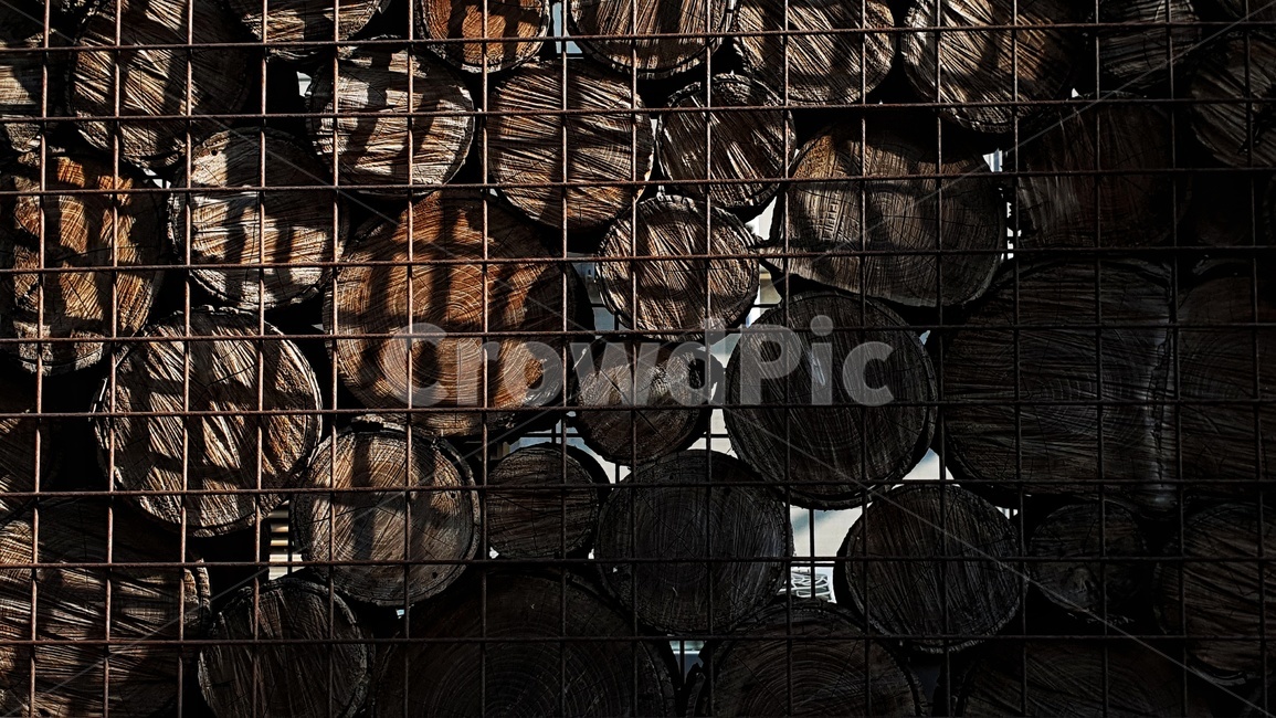 wood,나무,망,철망,벽,인테리어,건축
