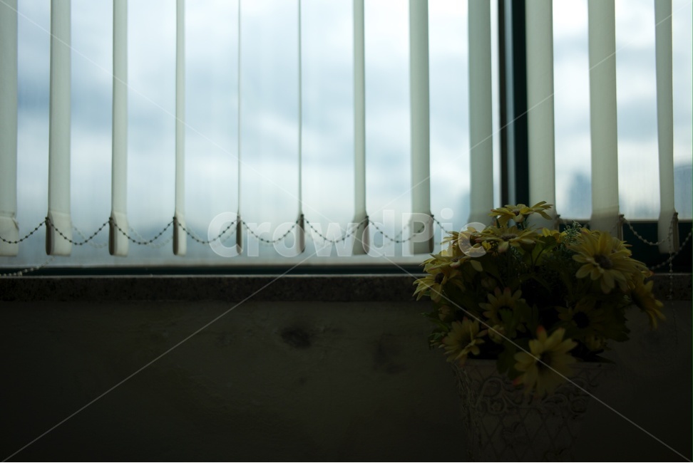 창문,window,building,풍경,실내