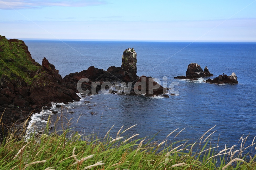 promontory,곶,nature,자연,outdoors,옥외,grass,잔디,plant,식물,ocean,대양,sea,바다,water,물,shoreline,해안선,제주,섭지코지,해변,자연,풍경,nature,landscape