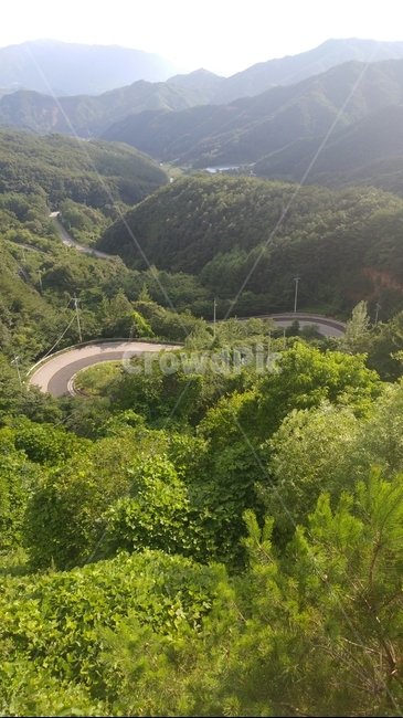 여름,초록,산길,시골길,배경,자연,풍경,nature,landscape,outdoors,옥외