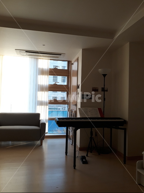 flooring,furniture,가구,indoors,옥내,livingroom,거실,침상,나무,wood,방,room,floor,바닥,hardwood,견목,피아노,디지털피아노,인테리어,piano,digitalpiano,interior,쇼파,couch,블라인드