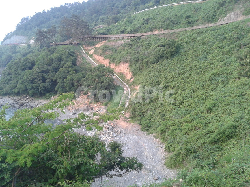 nature,자연,경사,해변가,산책로