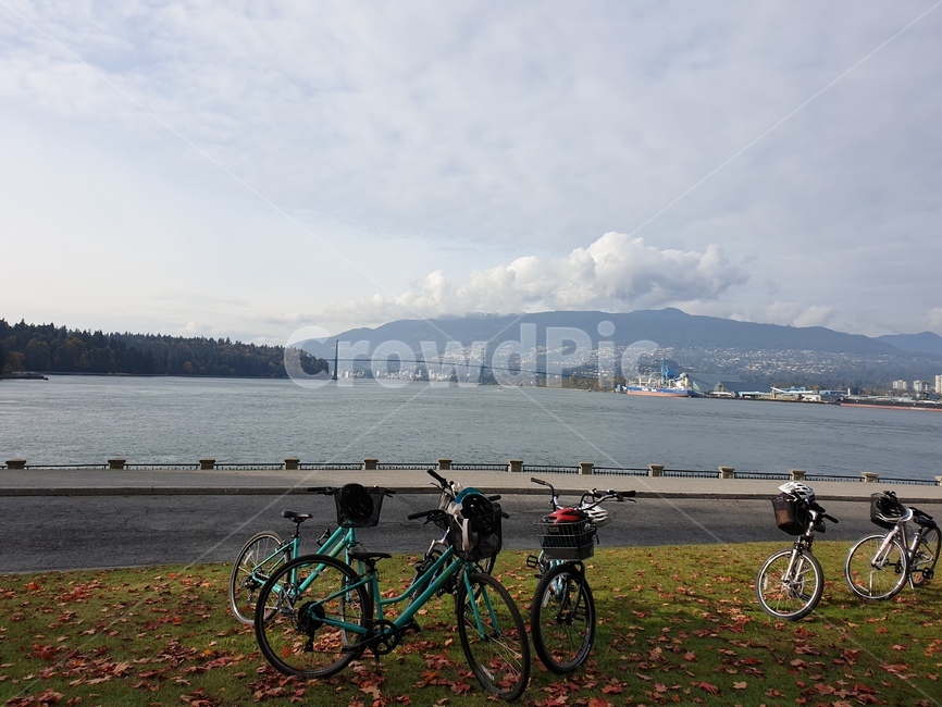 자전거,야외,공원,bicycle,산책로