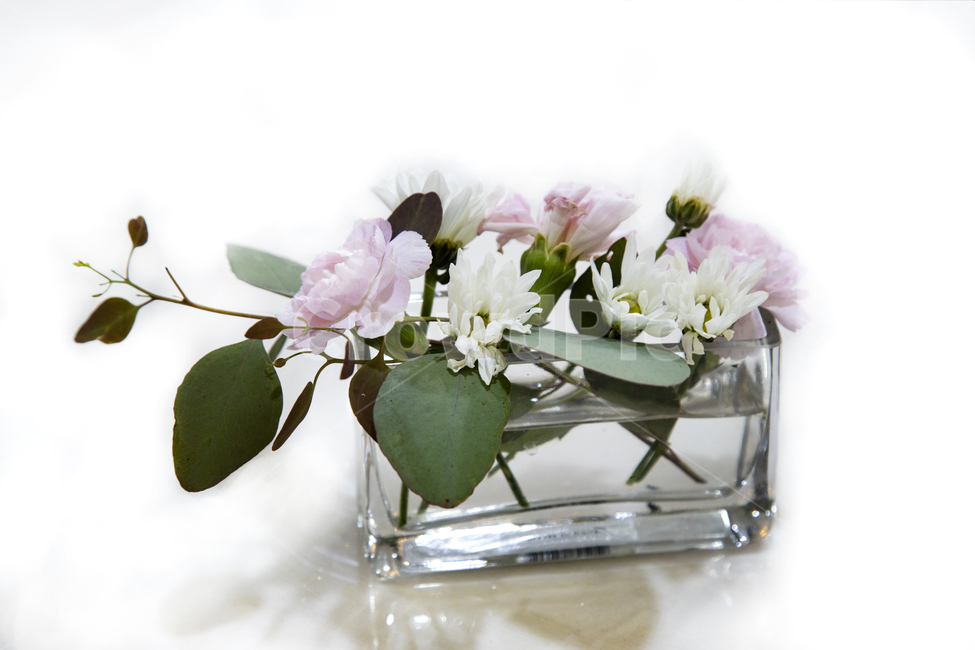 plant,식물,blossom,꽃,flower,flowerbouquet,꽃부케,유리,화분,꽃송이,줄기,국화,장미,생화,잎사귀,물,화병,꽃꽂이,뷰티,배경