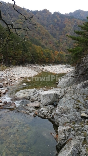 nature,자연,outdoors,옥외,water,물,가을풍경,설악산,산,계곡,단풍,가을