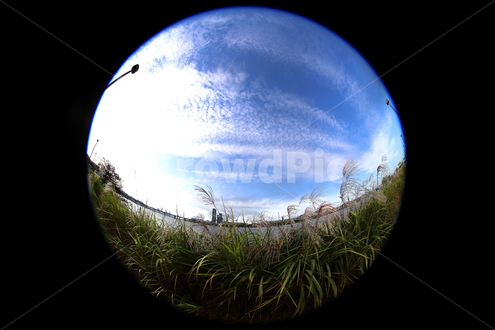 풍경,가을,계절,구름,하늘,자연,풍경,nature,landscape,outer space,대기권 밖,space,우주,universe,astronomy,천문학,outdoors,옥외,moon,달,night,밤