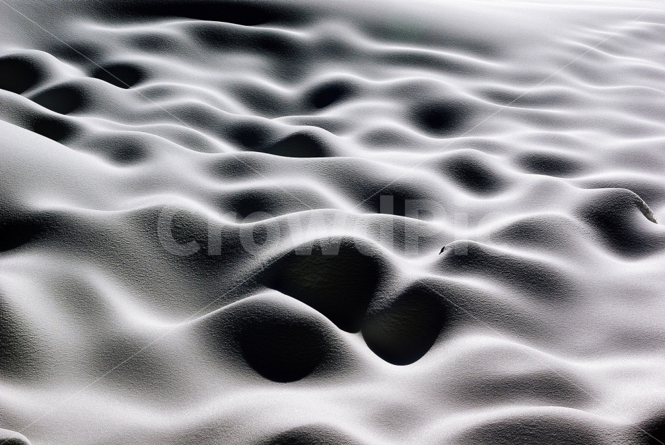 겨울,눈밭,설경,12월,눈꽃,겨울,계절,winter,season,텍스처,질감,패턴,texture,pattern,흑백,모노톤,monochrome,black and white