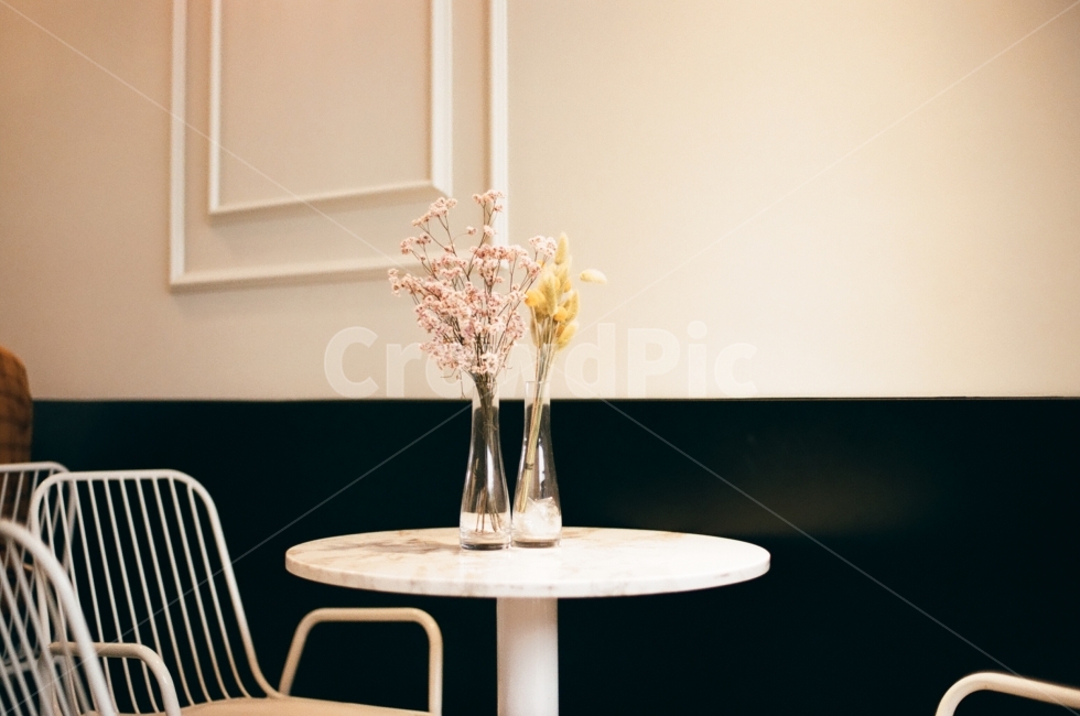 봄,꽃,카페,깔끔함,따뜻함,감성,필름카메라,포근함,white,인테리어,spring,monotone,pilm,photography,식물,자연,plants,nature,꽃,flower,실내용화초,화분,화초,house plant,인테리어,실내디자인,interior design