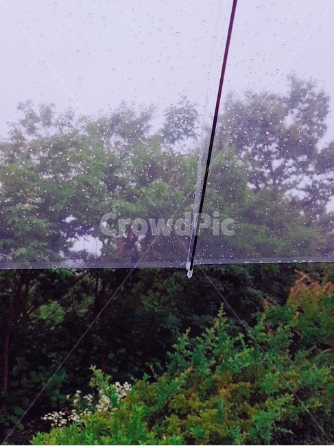 비,우산,하늘,빗물,감성사진,풍경,비오는풍경,rain,비,비오는날,rain,rainy