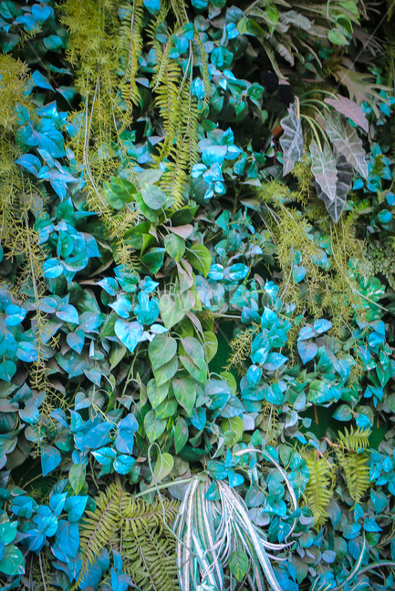 식물,plant,꽃,벽,장식