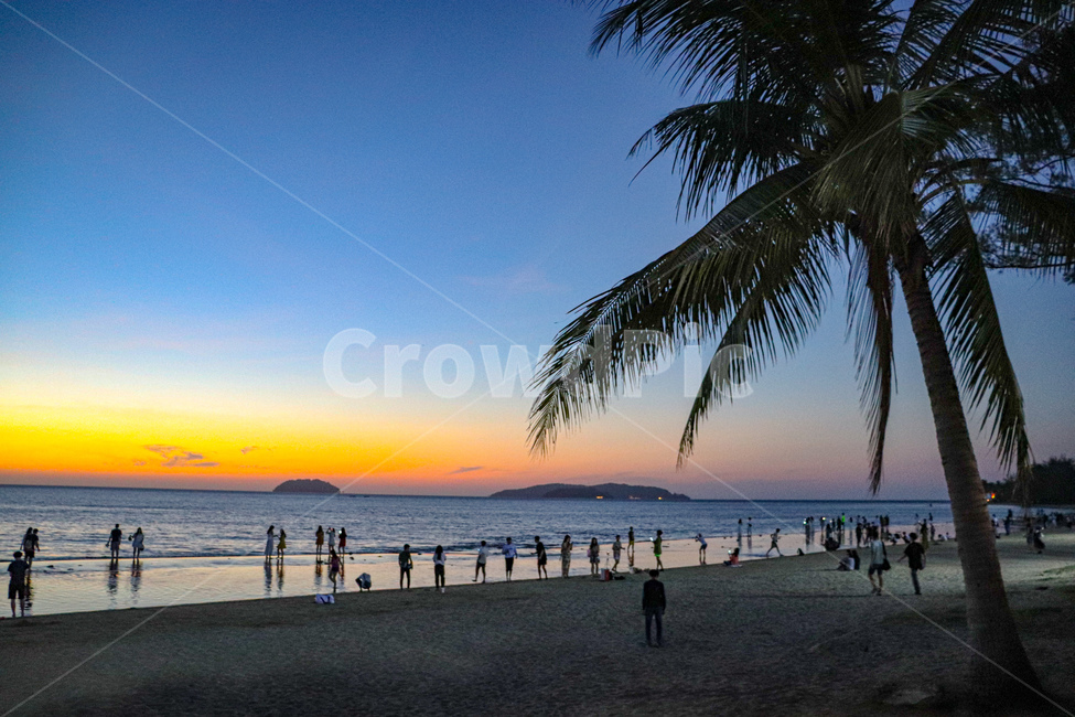 summer,여름,tropical,바다,해변,배경,노을,sunset,beach