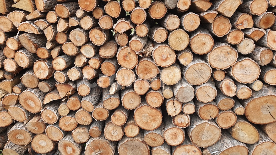 장작,나무,나이테,땔감,통나무,모닥불,firewood,wood,화목용,캠핑,참나무