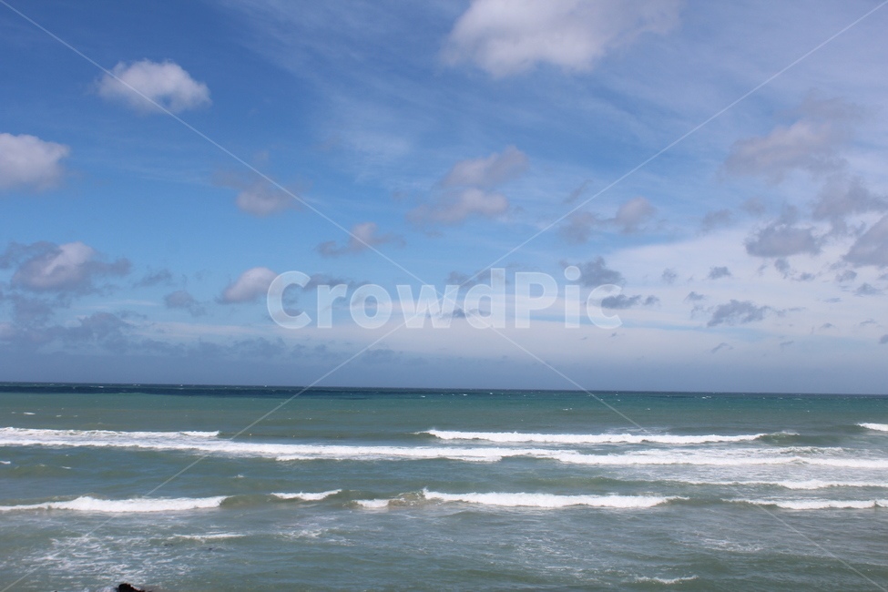 제주,제주도,바다,나무,야자수,여유로움,여유,nature,자연,outdoors,푸른하늘,sky,하늘,ocean,water,sea,물,날씨,land,땅,대양,coast,연안,해변,바다,beach,sea