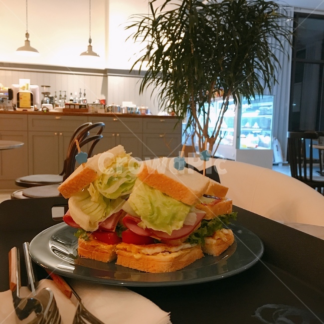 샌드위치,브런치,sandwich,brunch,빵,양상추,토마토,계란,접시,포크,나이프,나무,주방,조명,음식,식재료,요리,food,cook,meal,dishes,food reserves,아침식사,조식,브런치,breakfast,brunch