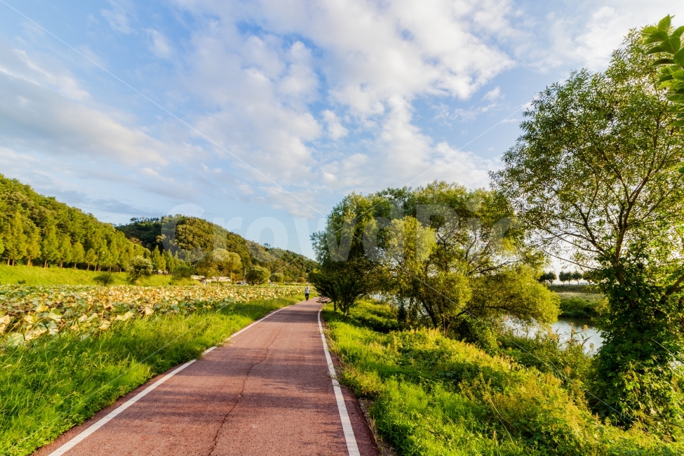 자연,풍경,하늘,가을,구름,자연,풍경,nature,landscape,시골,마을,country,rural,town,road,도로,outdoors,옥외,asphalt,아스팔트
