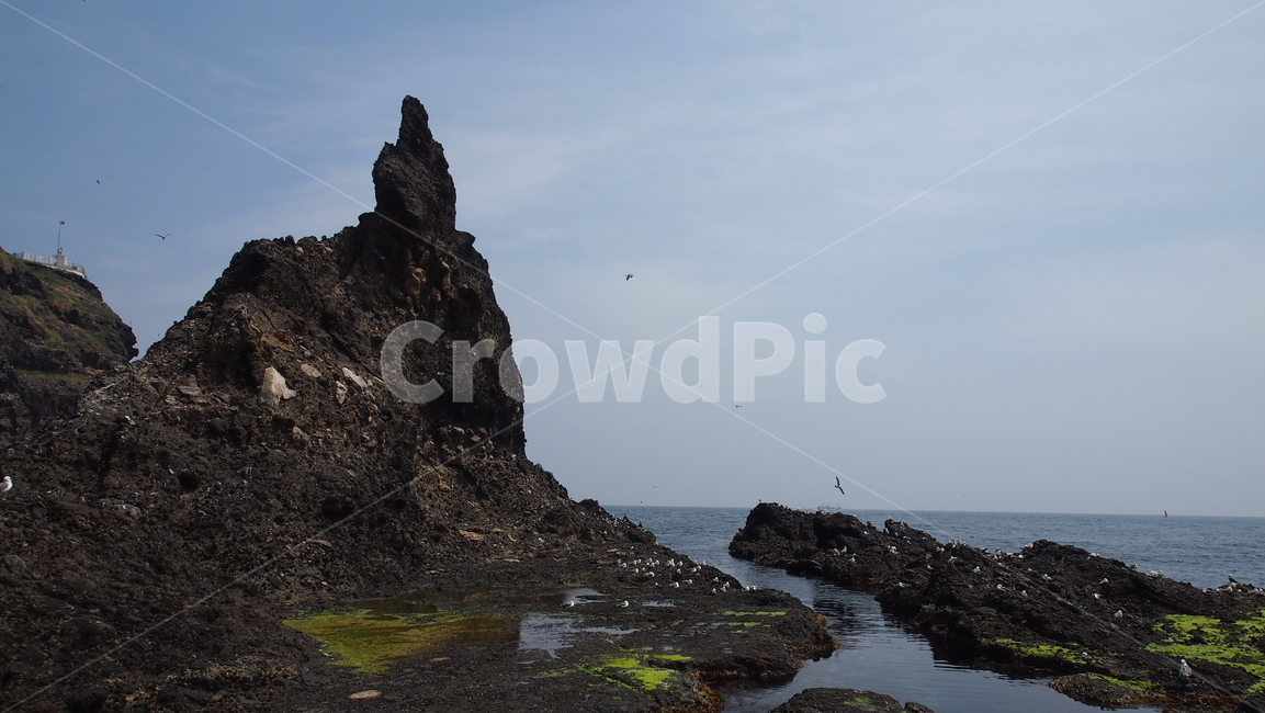 독도,동해,파란하늘,맑음,섬,sea,dokdo,scenery,view