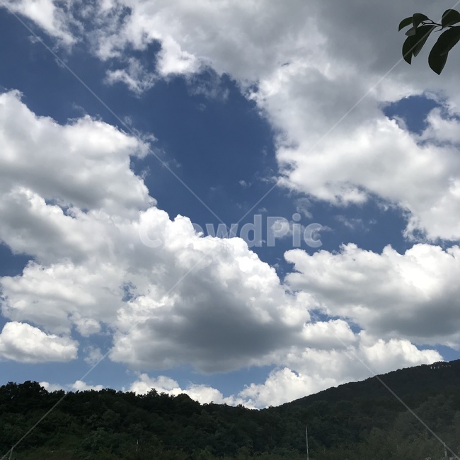 구름,풍경,맑음,나무,하늘,자연,풍경,nature,landscape,outdoors,옥외,weather,날씨,sky,cloud,cumulus,적운,azure sky,푸른 하늘