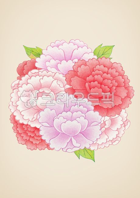 일러스트,배경,백그라운드,새해,설,신년,병오년,2026,명절,한국,문화,전통문화,전통,식물,민화,수작업,색연필,색연필화,그림,꽃,모란,모란꽃,잎
