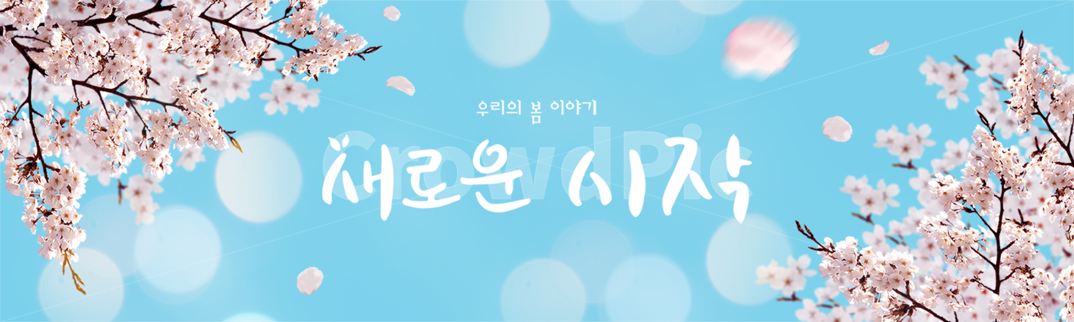 시즌,계절,봄,캘리그라피,캘리,손글씨,편집,배너,웹소스,소스,모바일,팝업,붓글씨,한글,꽃,배경,백그라운드,벚꽃,하늘,봄,계절,spring,season