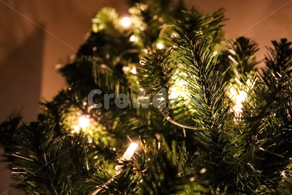 christmastree,크리스마스트리,빛,전구,나무,tree,식물,plant,장식,불빛,크리스마스,겨울,winter