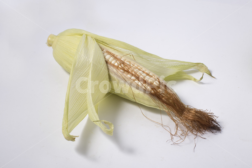옥수수,식물,알맹이,노란색,찰옥수수,옥수수수염,콘,간식,팝콘,음식,식재료,요리,food,cook,meal,dishes,food reserves