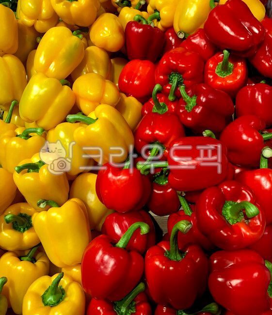 plant, 식물, pepper, food, 음식, 사진,이미지,일러스트,캘리그라피 - Koopa작가