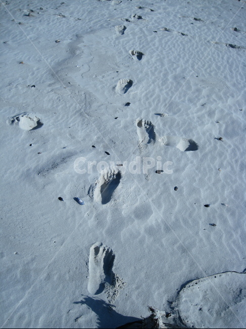모래사장,footprint,발자국,해변발자국,해변가