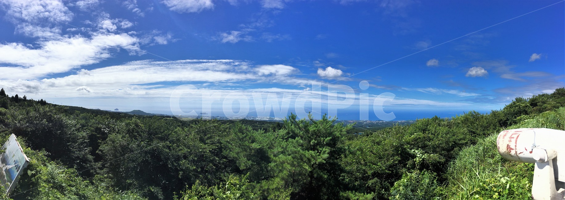 제주도,한라산,제주도여름,1100고지,서귀포,자연,풍경,nature,landscape,outdoors,옥외,vegetation,초목,plant,식물