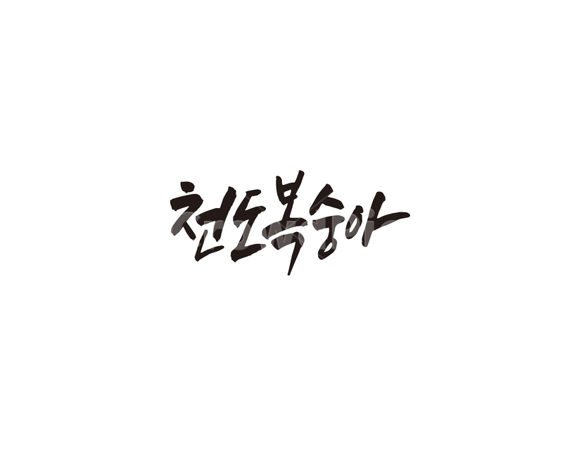 천도복숭아,복숭아,과일,캘리,캘리그라피,그래픽,일러스트레이션,graphic,illustration,캘리그라피,손글씨,calligraphy