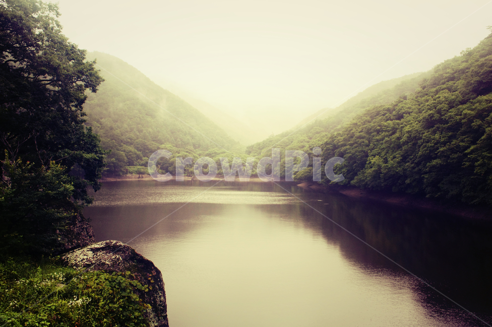 연못,여름,녹색,나무,저수지,자연,풍경,nature,landscape,water,물,outdoors,옥외