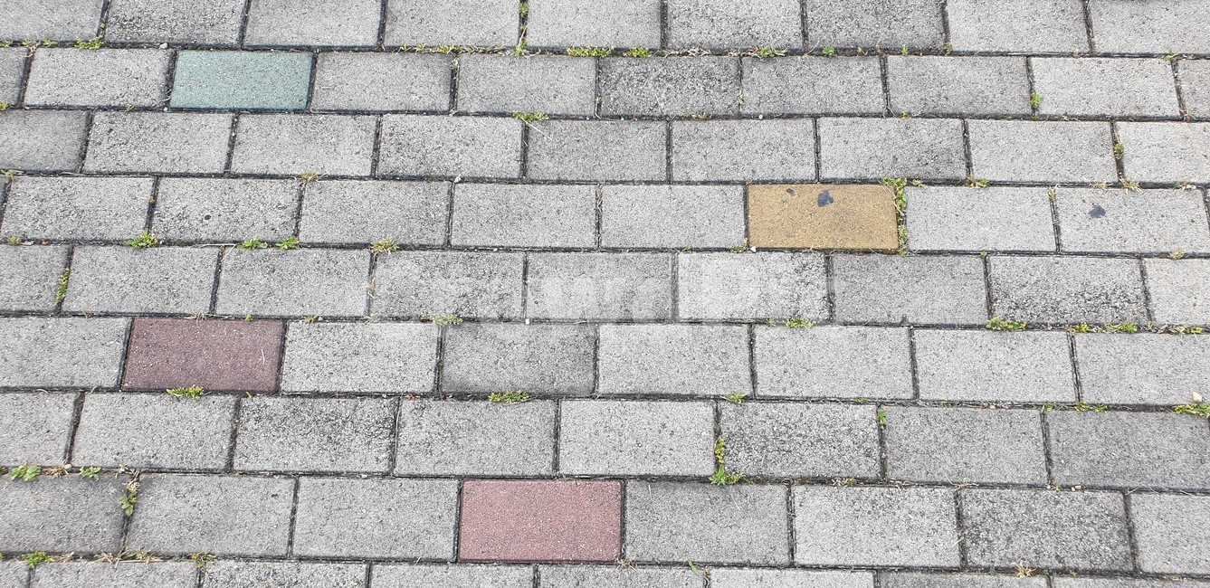 바닥, 도로, 자전거도로, 돌, 잔디, 사진,이미지,일러스트,캘리그라피 - LEXTER작가