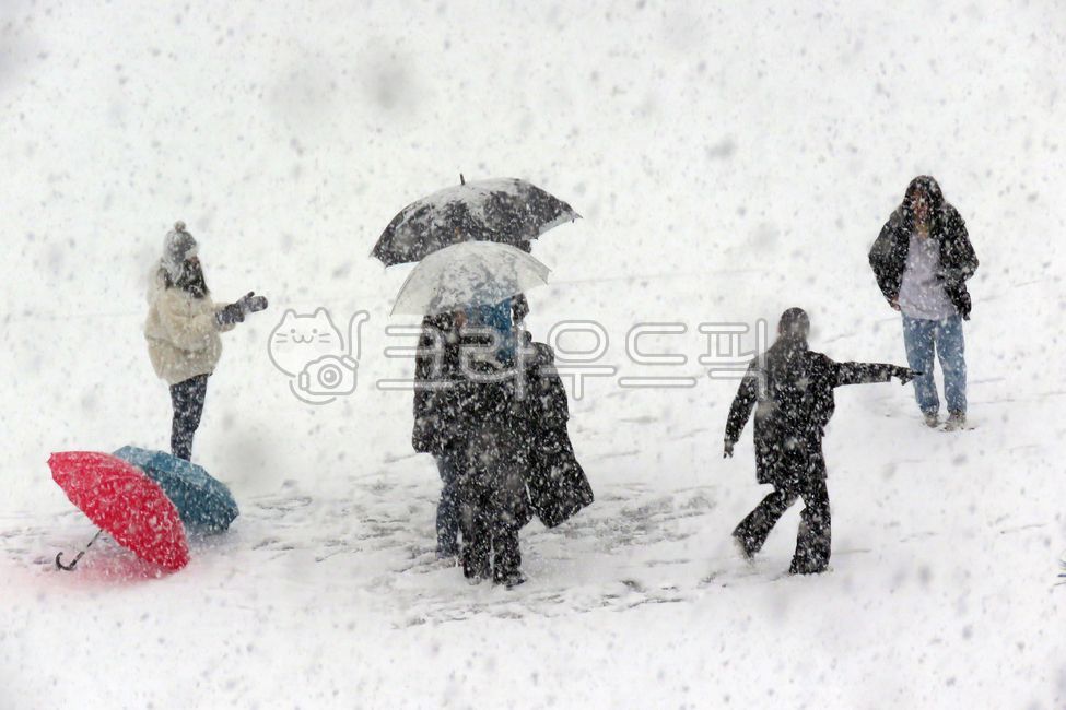 눈보라,겨울,winter,snow,우산,겨울,계절,winter,season