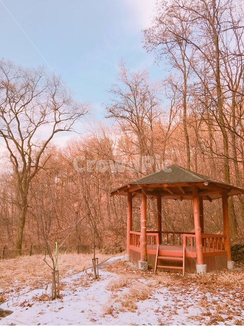 정자,눈,산,풍경,겨울배경,겨울,계절,winter,season,자연,풍경,nature,landscape,gazebo,전망대