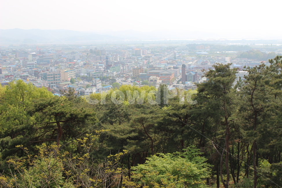 자연,꽃,공원,호수,바위,산,풀,숲,전망