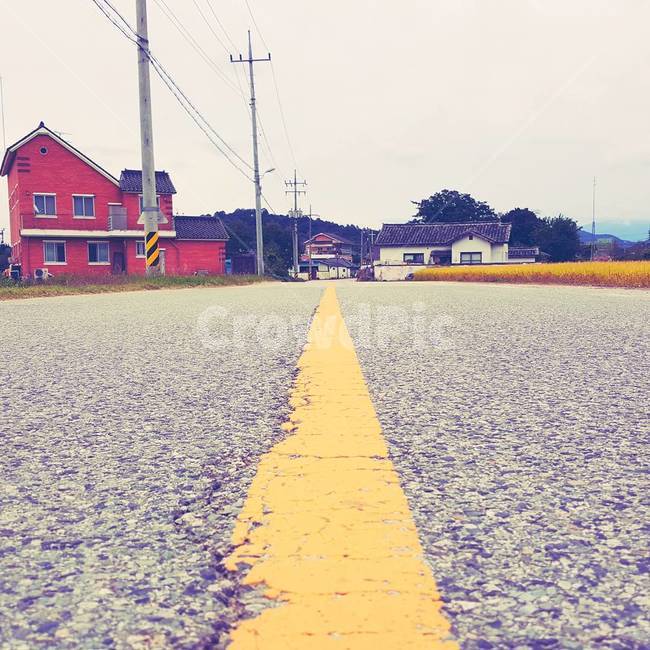 시골,도로,road,벼,밭,귀농,국도,골목길,힐링,아스팔트