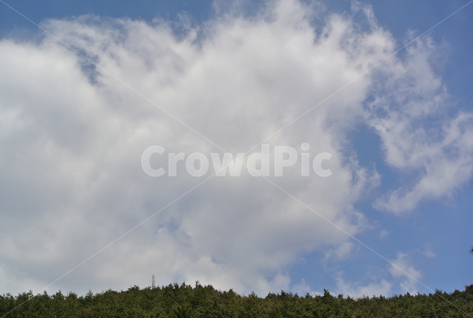 하늘,구름,뭉게구름,하얀구름,맑은날씨,cloud,korea,자연,풍경,nature,landscape,outdoors,옥외,sky