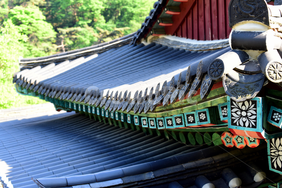 처마,지붕,절,사찰,화려한,roof,temple