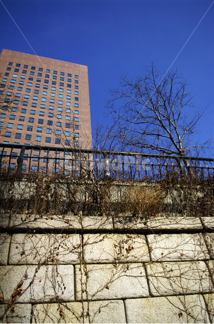 난간,building,건물,나무,하늘,겨울,빌딩
