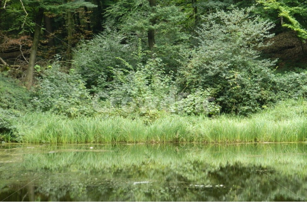 물,water,nature,자연,outdoors,옥외,호수,풍경,lake,landscape