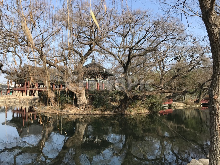 풍경,구름,노을,멋짐,하늘