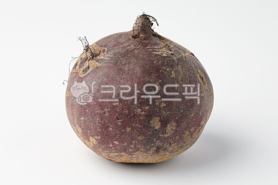 food,음식,rutabaga,루타바가,turnip,순무,vegetable,채소,비트,beet,betavulgaris,음식,식재료,요리,food,cook,meal,dishes,food reserves