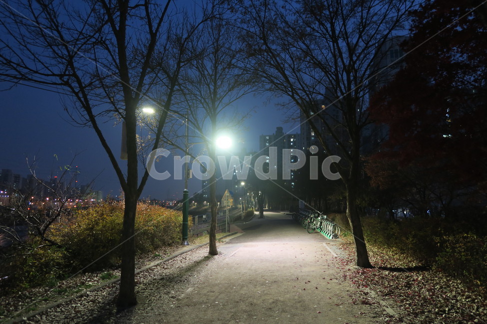 밤공원,저녁길,가을밤,퇴근길,밤산책길,야경,밤,풍경,nightscape,night,landscape,도시,city,한국도시풍경,한국도시경관,korea cityscape,flare,플레어,light,빛,asphalt,아스팔트