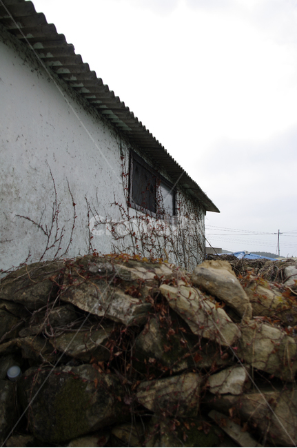 돌담,집,창문,넝쿨,식물,plant,시골,마을,풍경,landscape,country,rural,town