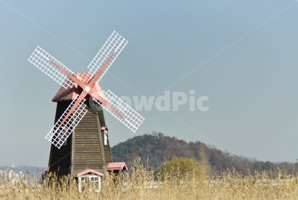 풍경,풍차,갈대,건물,평화로움,landscape,가을,계절,fall,autumn,season,자연,풍경,nature,landscape,한국자연풍경,한국자연경관,korea nature landscape,machine,기계,engine,엔진,motor,모터